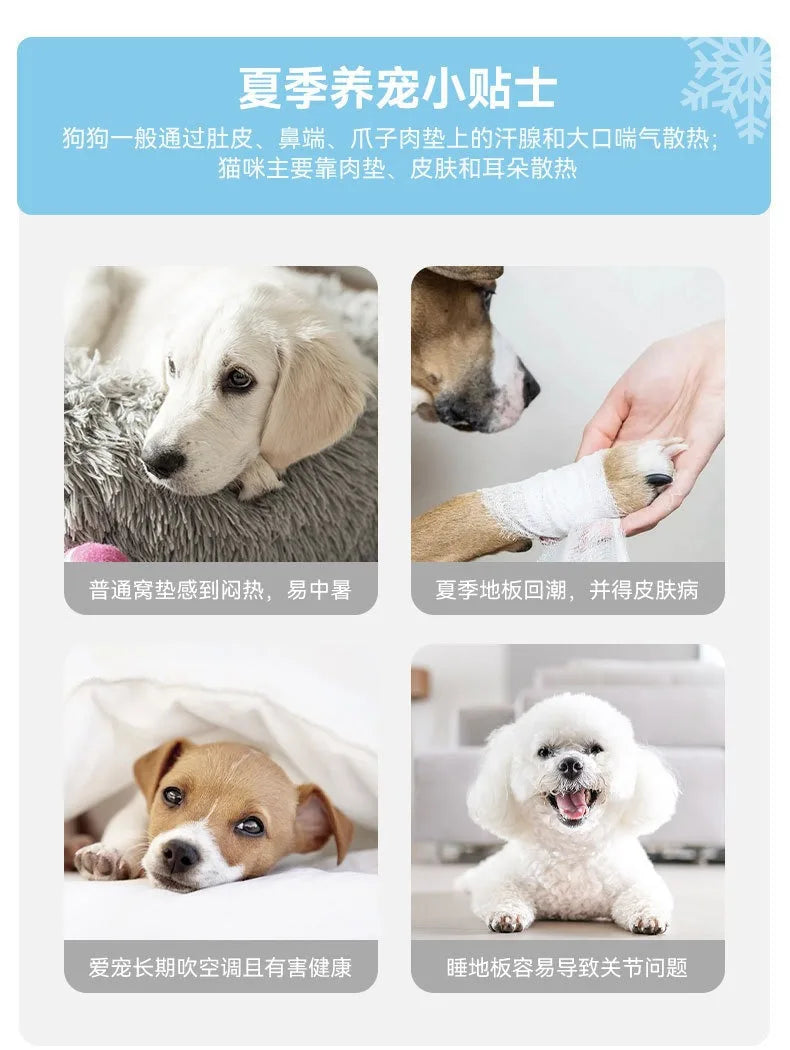 Pet bed - Dog sofa - Latex dog mat - Breathable and washable dog bed - Cat bed - Small dog sleeping cat