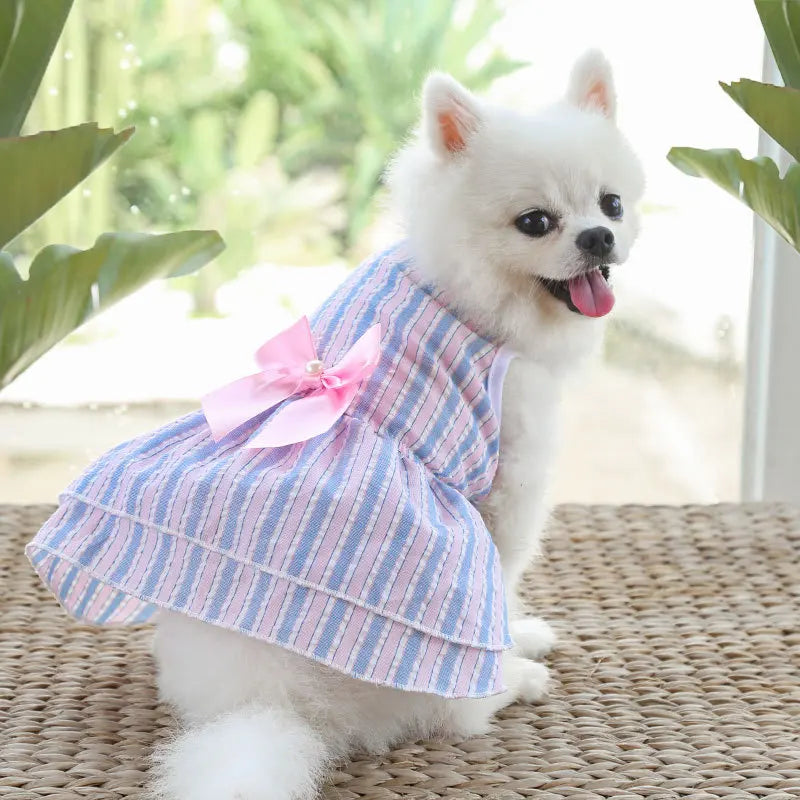Dog Tutu Dress Cat Lace Skirt Bow Knot Dresses Summer Pet Clothing Chihuahua Puppy Cat Princess Apparel Cute Clothes