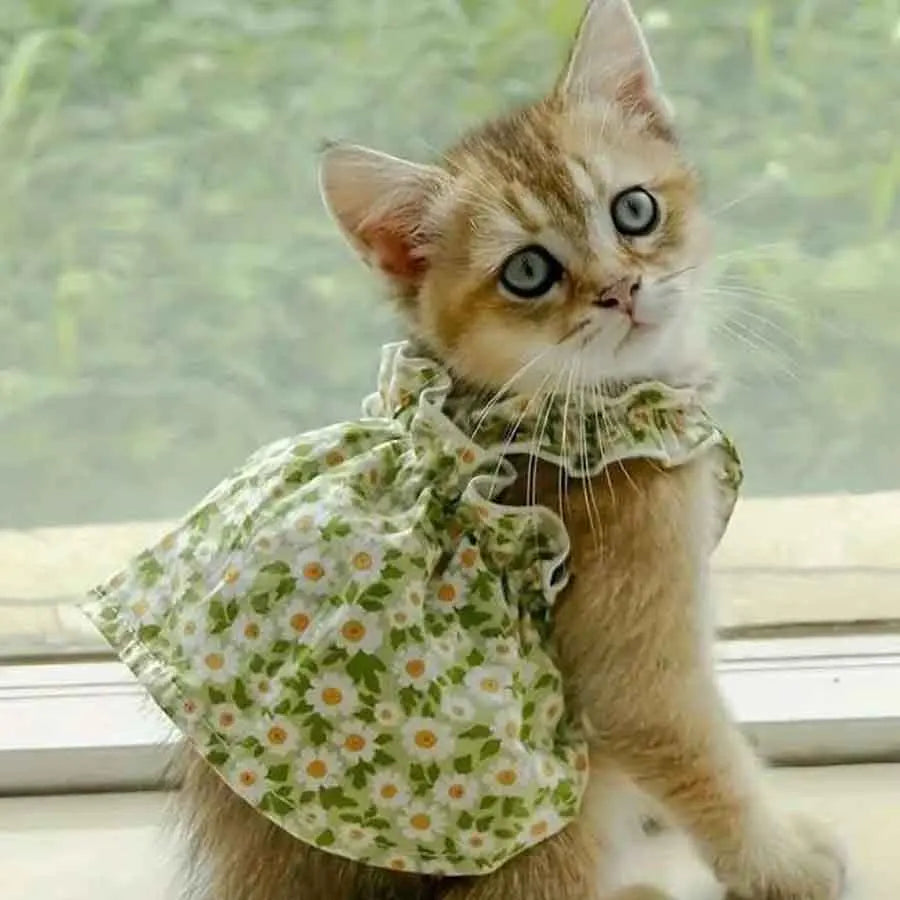 1pc Pet Dress Romantic Style Dog Summer Dress Cat Skirt With Green Floral Print, Small Dog Clothes Pet Clothing Chihuahua Skirt