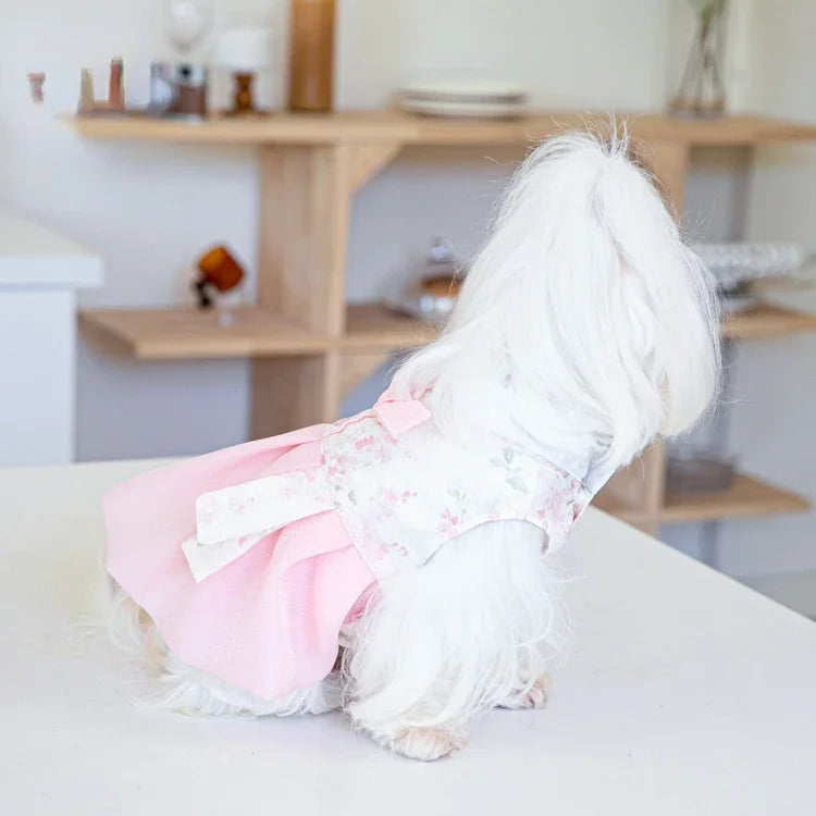 Pet Clothing Dog Dresses Pet Dress Clothing Pet Cat Dog Teddy Dress Fashion for Small Dogs Puppy Clothes Dog Clothes Designer