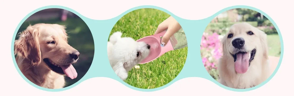 Pet Dog Water Bottle Portable Bottle for Small Medium Large Dog Drinking Feeder Outdoor Travel Water Bowl Pet Product Dispenser