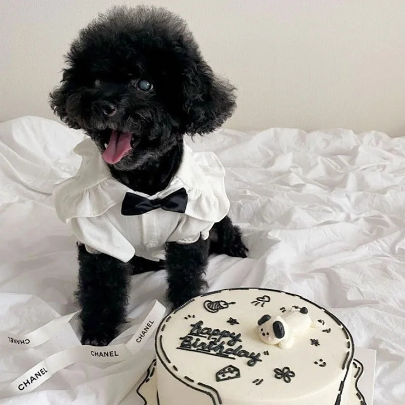 Pet Dress for Dog Small Dogs Summer Pet Plaid Dog Suspender Skirt Cute Cat Princess Dress Luxury Pet Shirt Chihuahua Dog Clothes