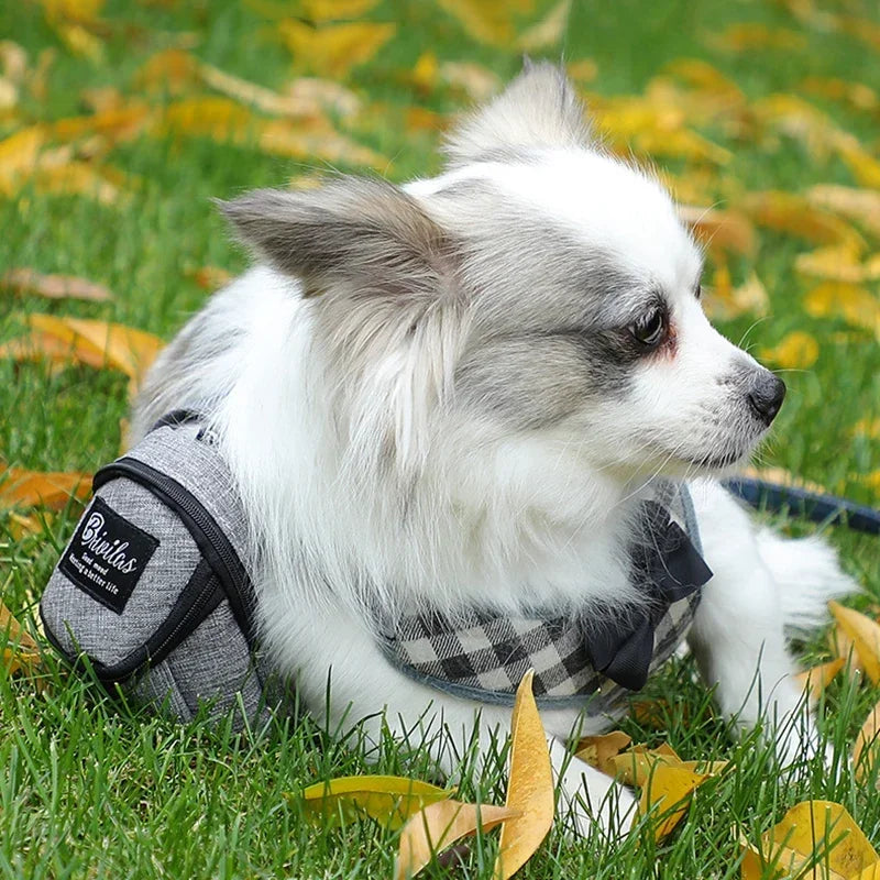 Pet Dog Treat Pouch Poop Dispenser Portable Multifunction Dog training bag Outdoor Travel Dog Bag Durable Pet accessories