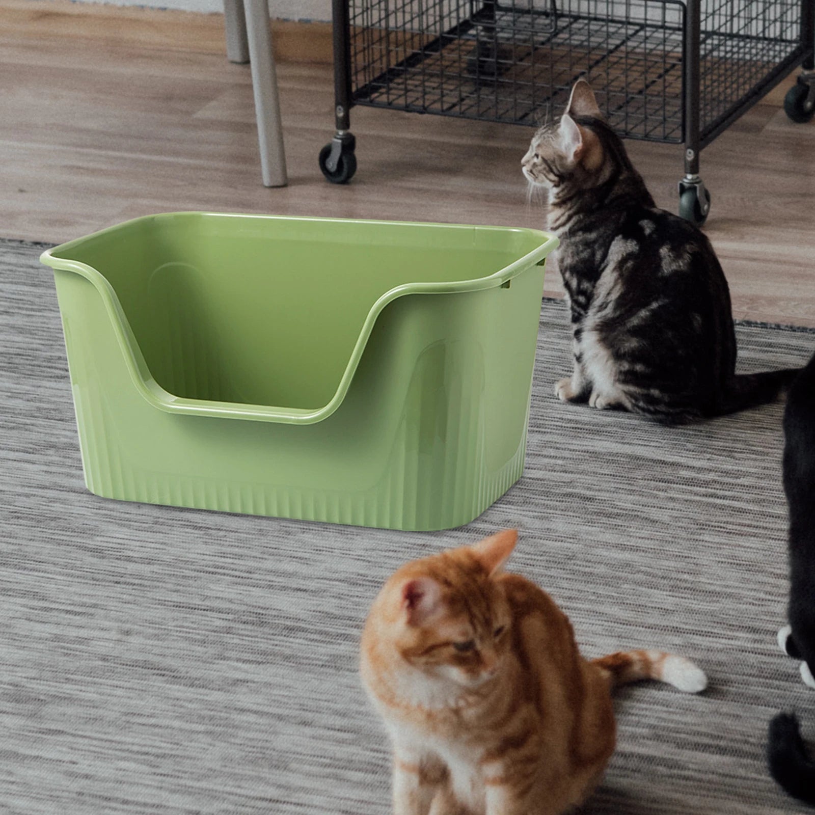 Cat Litter Box Durable Kitten Potty Toilet Open Top Pet Litter Tray Heighten for All Kinds of Cat Litter Easy to Clean No Odor