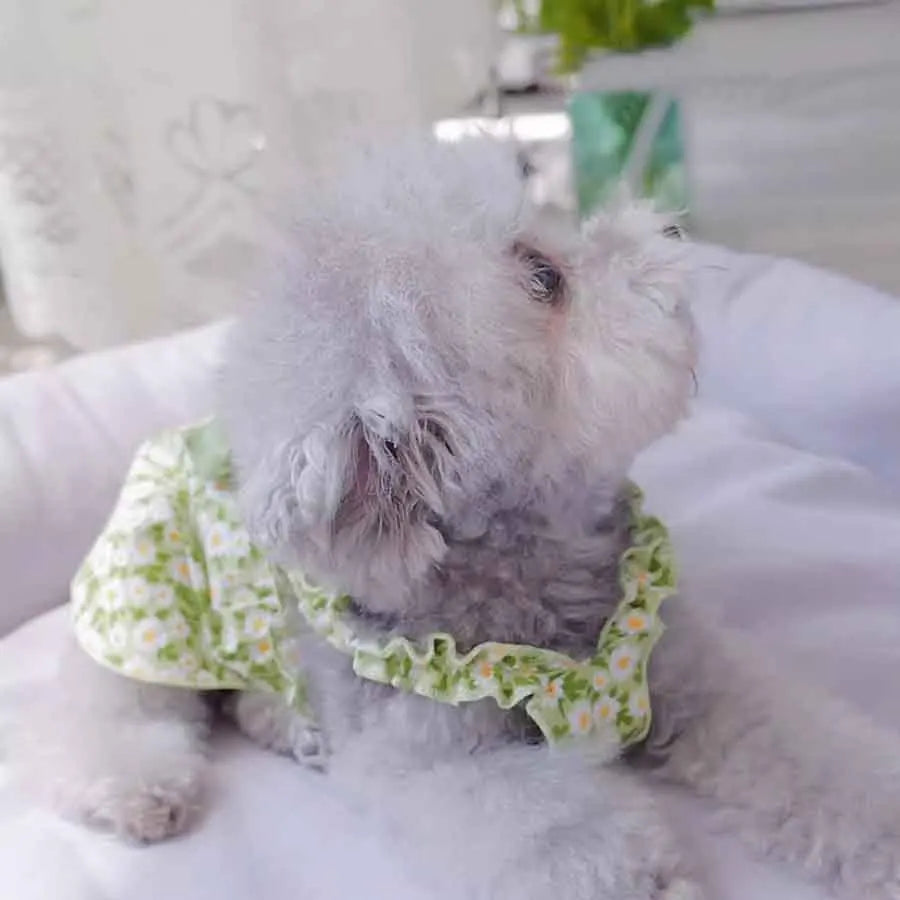 1pc Pet Dress Romantic Style Dog Summer Dress Cat Skirt With Green Floral Print, Small Dog Clothes Pet Clothing Chihuahua Skirt