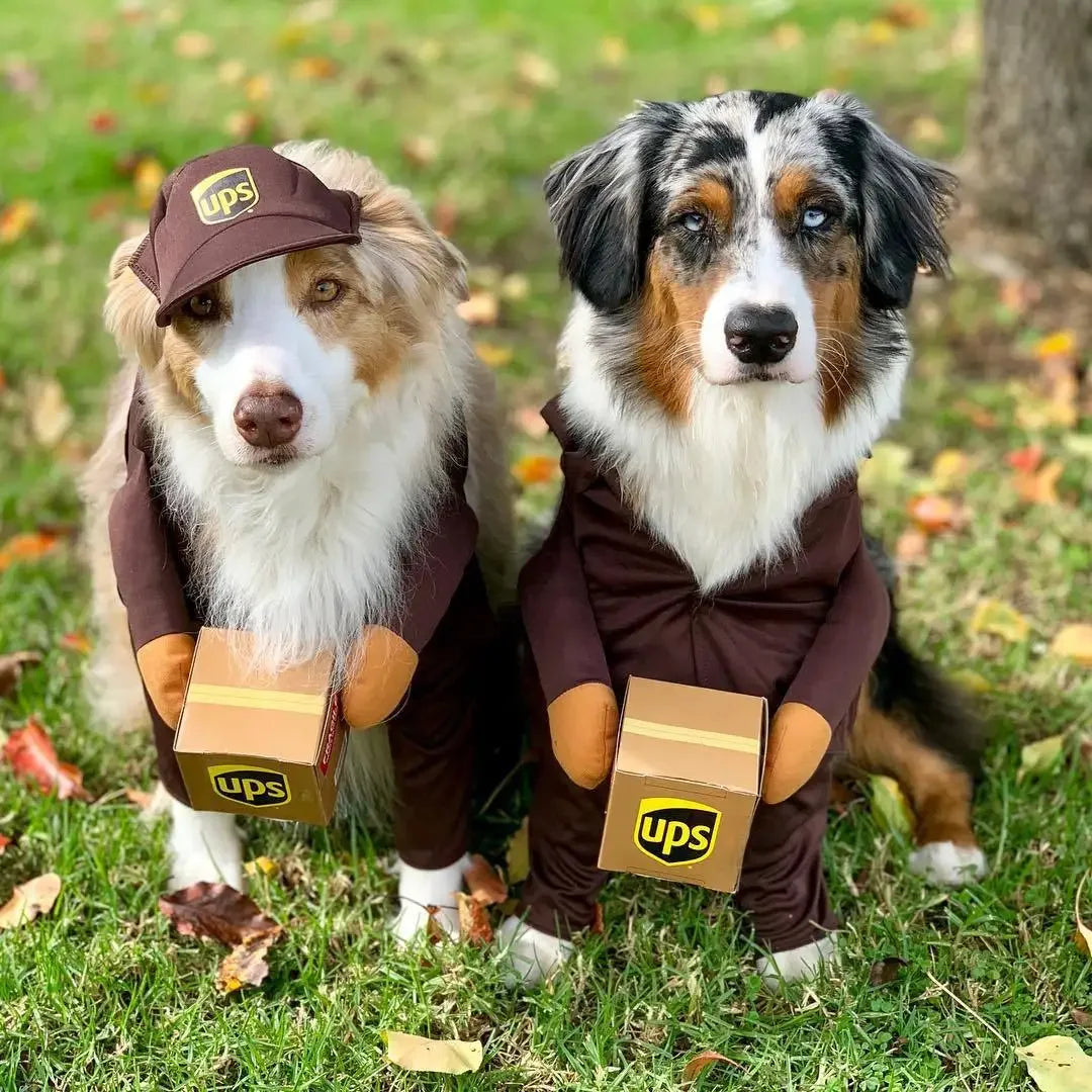1Pc Pet Courier Costume Dress Up Standing Outfit Pet Costumes Funny Dog Cat Cosplay Clothes Role Playing Halloween Decor Clothes