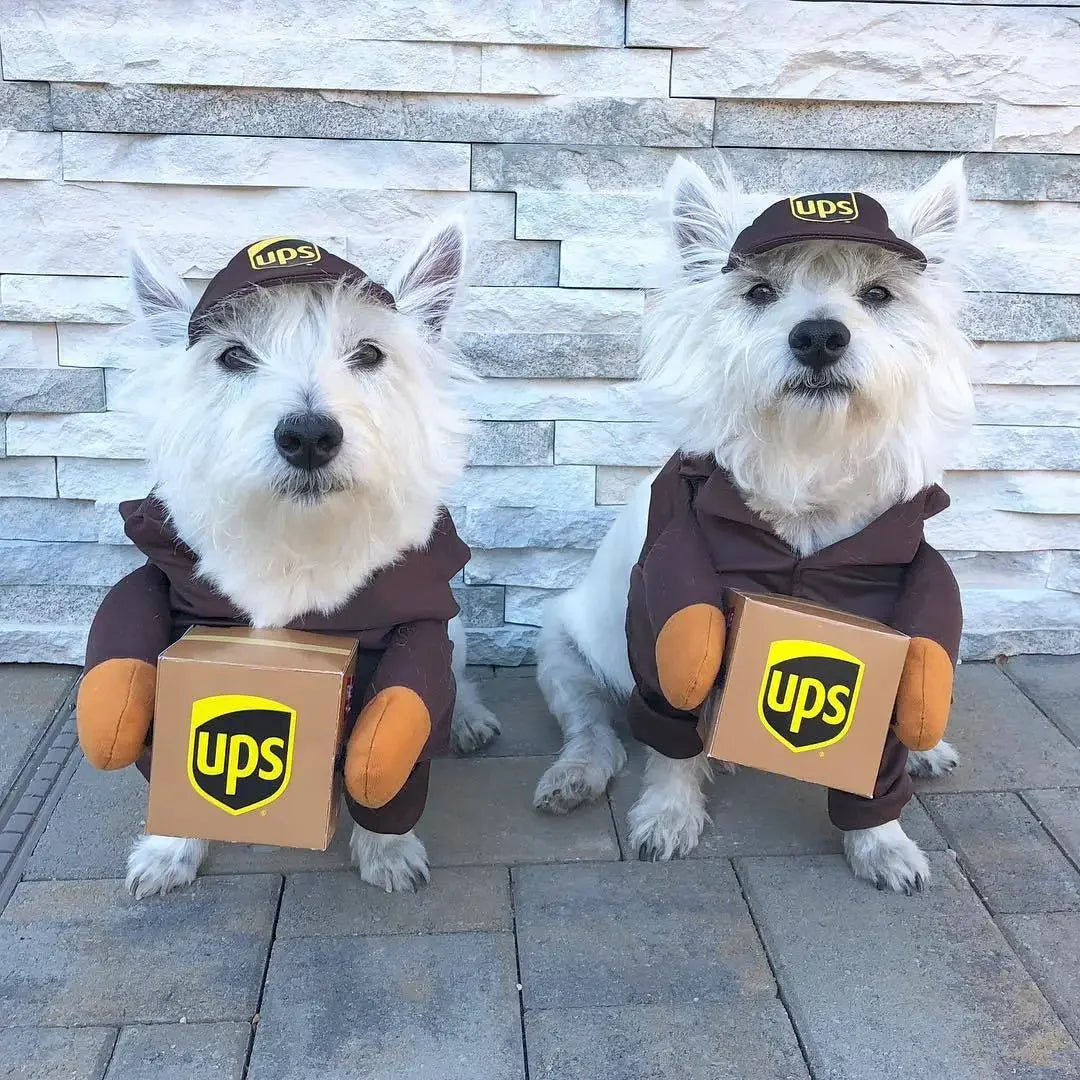 1Pc Pet Courier Costume Dress Up Standing Outfit Pet Costumes Funny Dog Cat Cosplay Clothes Role Playing Halloween Decor Clothes