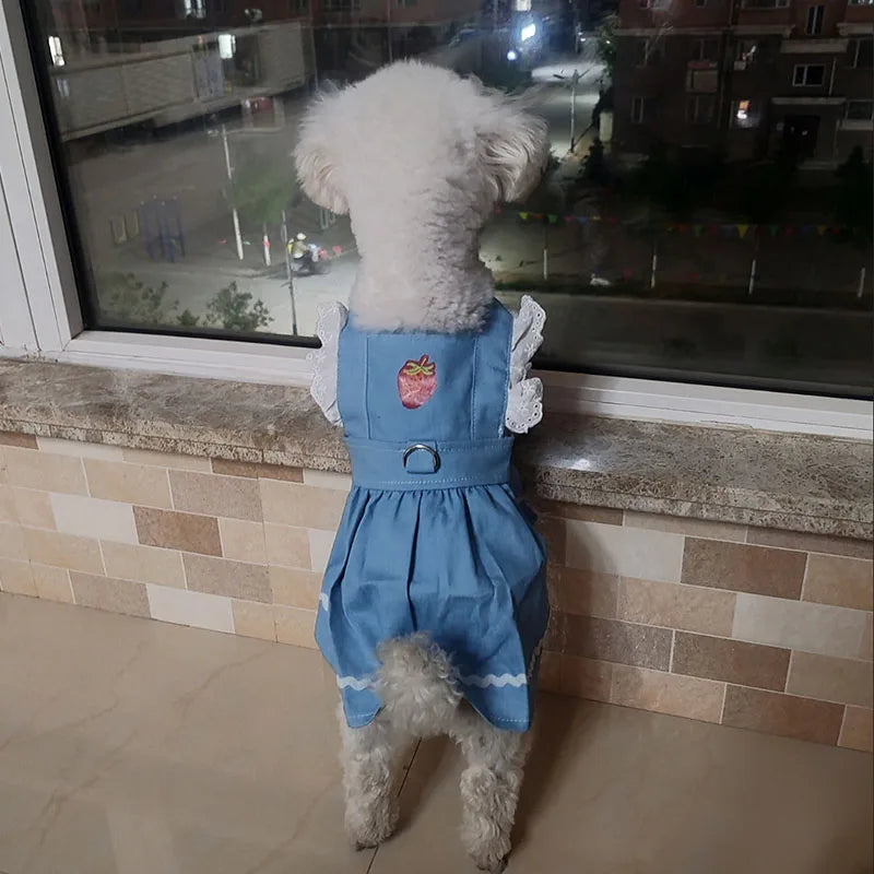 Denim Dog Princess Dress Fashion Dog Clothes Cute Strawberry Puppy Dress Cat Flying Sleeves Skirt Pet Costumes Chihuahua Dress