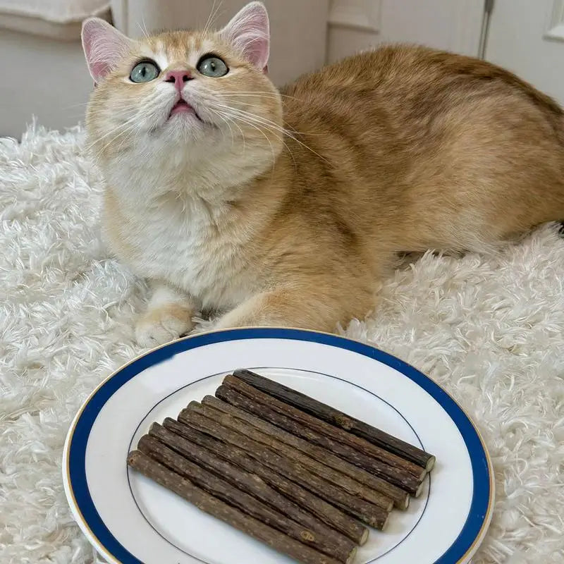 Teething Stick for Growing Puppies 14 Pieces Natural Teething Sticks Stress Relief Bully Sticks Chew Toys for Pet Dog Puppy Cat