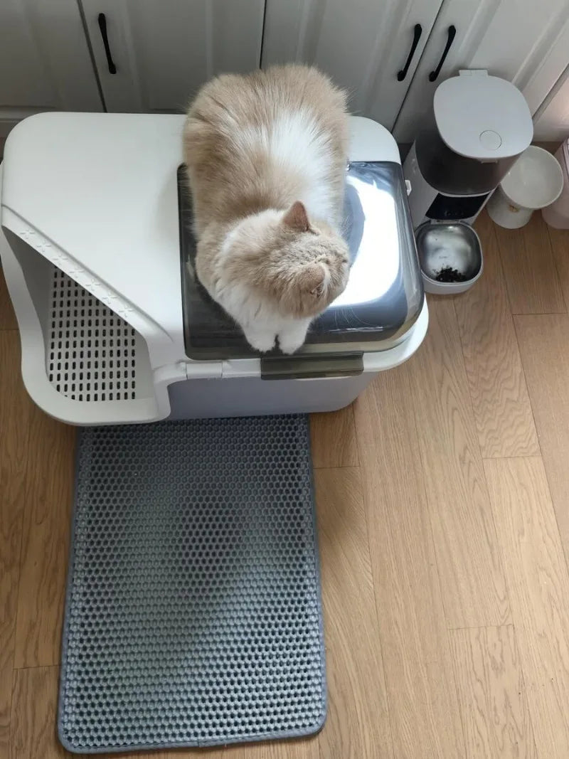 Large Cat Litter Boxes Corridor Style Design Enclosed Litter Tray Odor Splash-Proof Kitten Toilet Convenient Lid Pet Clean