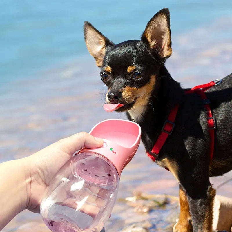 Portable Leakage-proof Water Bottle and Outdoor Water Bowl for Small, Medium and Large Pet Dogs Pet Products