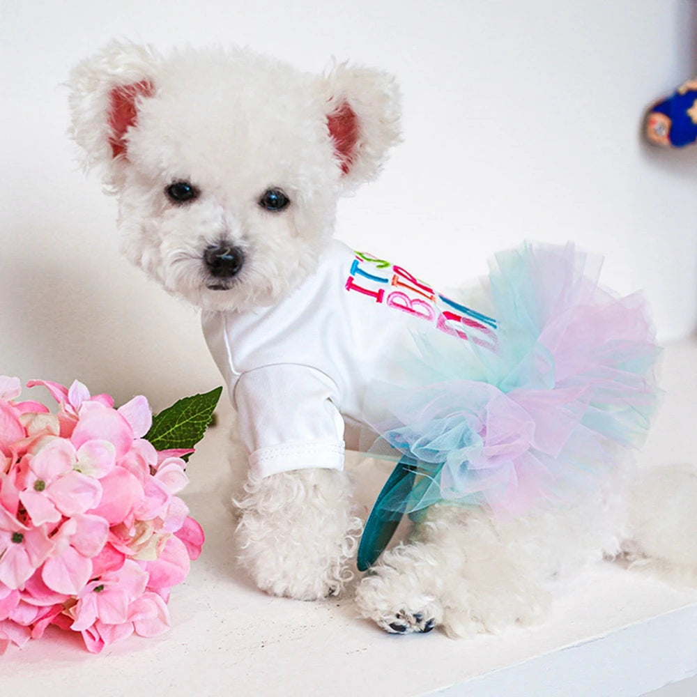 Dog Dress Summer Pet Clothes For Dogs Skirt Birthday Princess Dog Wedding Dresses Yorkie Clothes For Dogs Skirts Pet Cat Dress