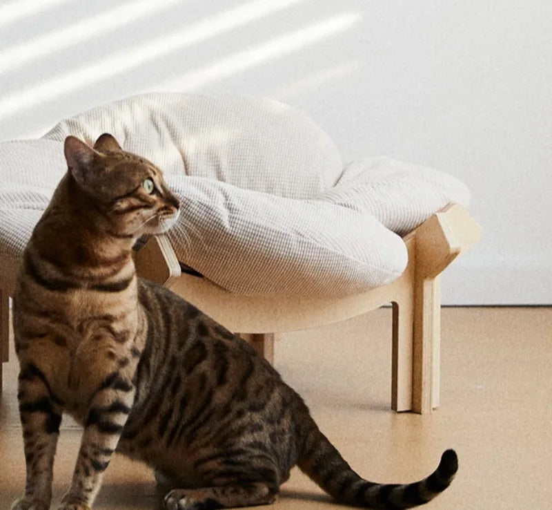 Petal Cat Bed Nest Mat Indoor Sleeping Cushion Small Dog Bed Nest Cats Portable Kitten Soft Beds Comfortable Pets Supplies