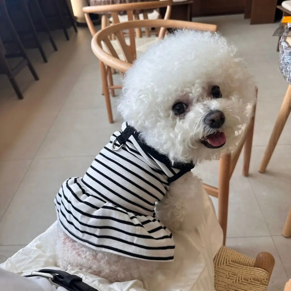 Pet Couple Outfits Cute Dog Striped T-shirts Soft Breathable Pet Skirt Thin Design Cat Lapel Dresses for Puppy Kittens