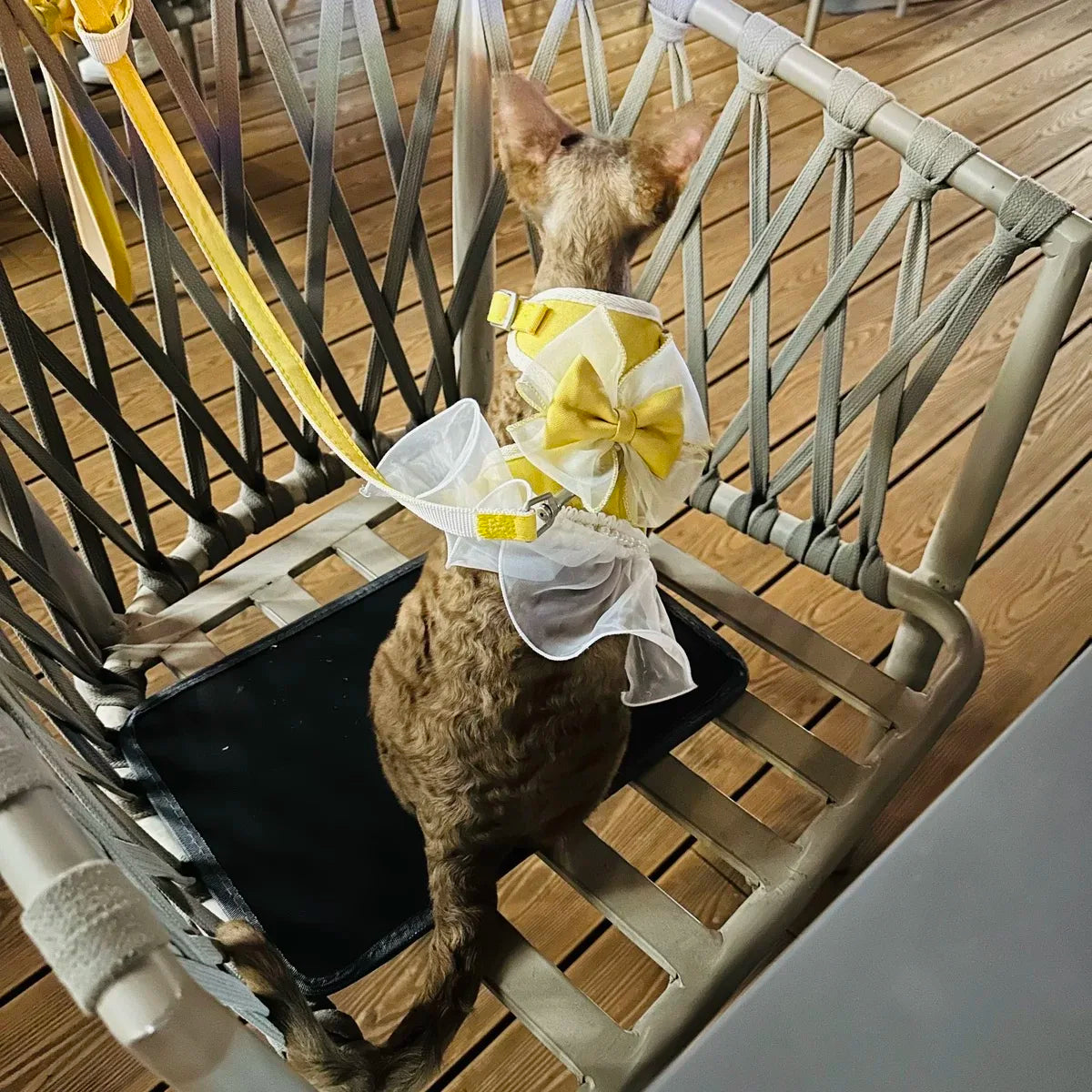 Cute Bowknot Pet Harness Leash Princess Cat Dress Costumes Nylon Kittten Dress Puppy Harness For Rabbit Teddy Cats Clothes