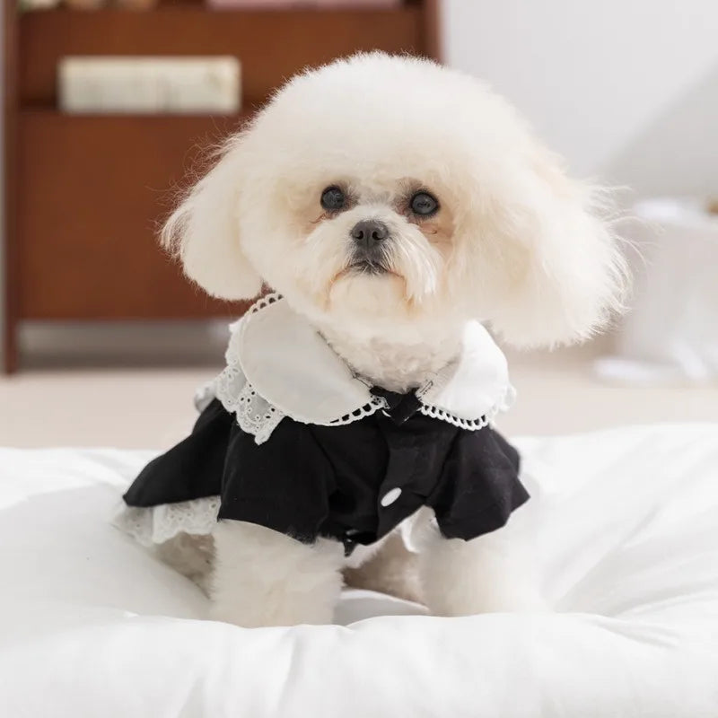 Pet Classic Maid Dresses Skirt Teddy College Style Dresses Small and Medium Dogs Summer Pullover Bichon Pretty Princess Dresses