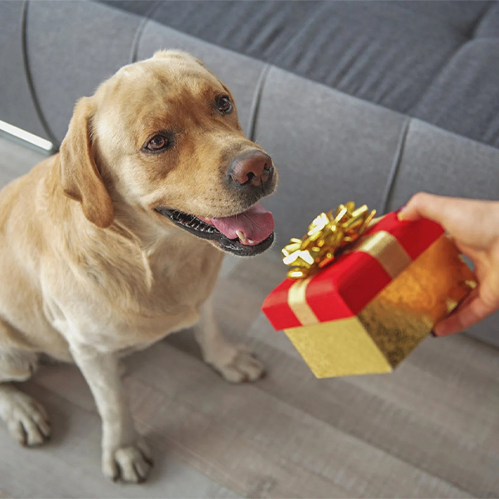 Pet Grooming Gloves Static Dedusting Brush Pet Hair Remover Brush Removing Dog Cat Hair From Sofa Carpet Clothes Tool Supplies