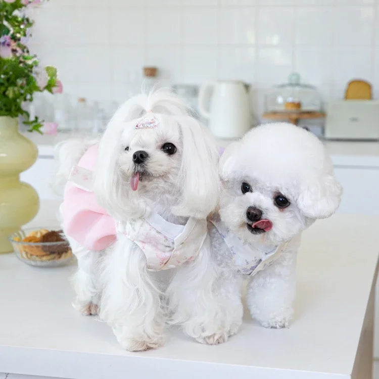 Pet Clothing Dog Dresses Pet Dress Clothing Pet Cat Dog Teddy Dress Fashion for Small Dogs Puppy Clothes Dog Clothes Designer