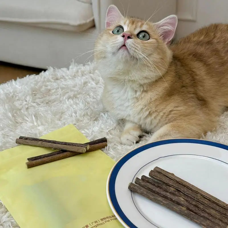 Teething Stick for Growing Puppies 14 Pieces Natural Teething Sticks Stress Relief Bully Sticks Chew Toys for Pet Dog Puppy Cat