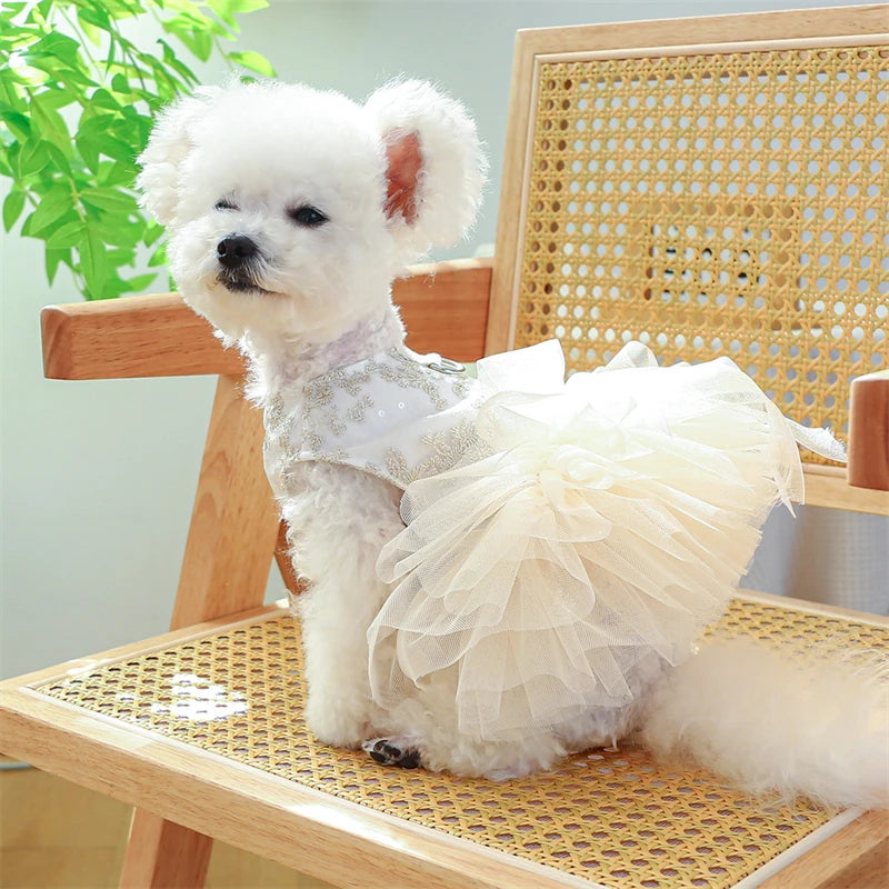 Wedding Dresses for Pets Chihuahua Designer Lace Veil Female Cat Clothes Bow Tie Tutu Skirt Rose Floral Yorkshire Puppy Clothing