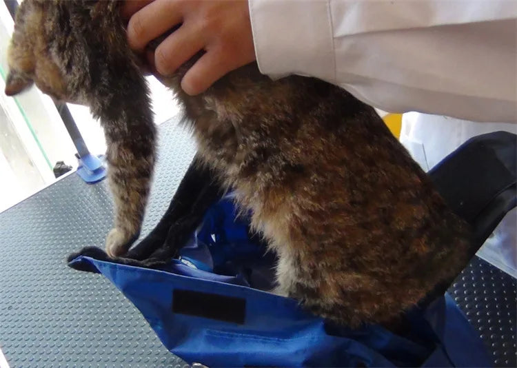 Portable and foldable pet carrying bag for cats, anti-scratch and bite, fixed cat bag for vaccination.