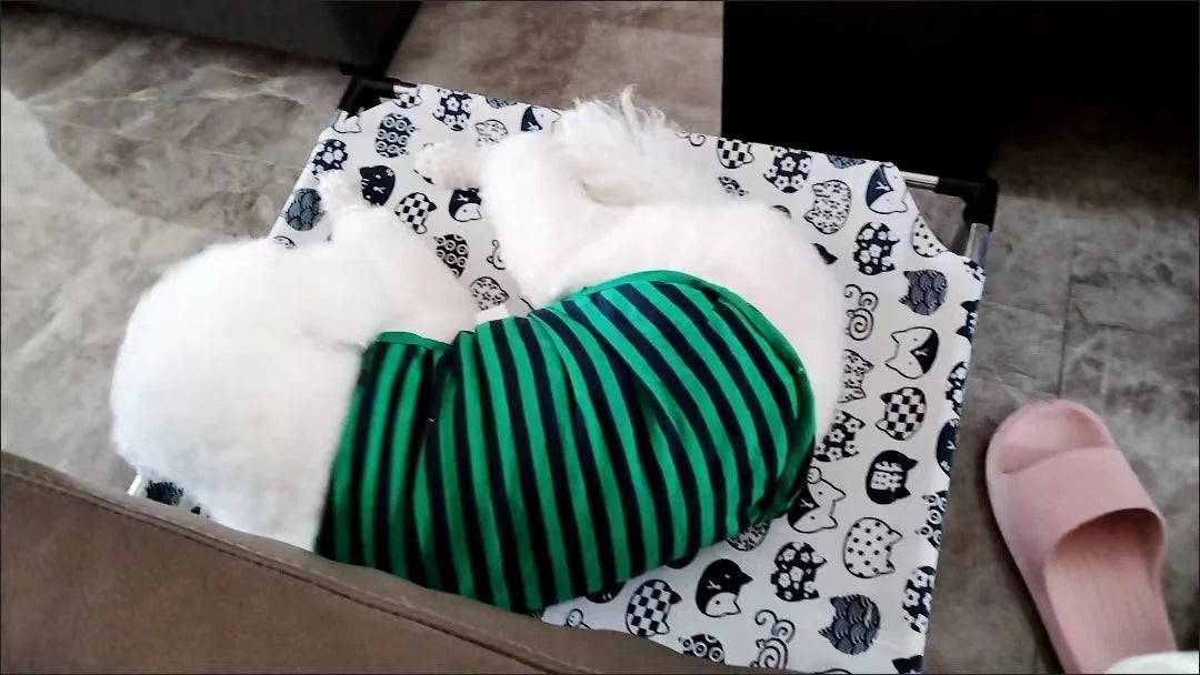 Portable Elevated Dog Bed Outdoor Pet Bed Summer Cat Bed Pet Camping Removable Washable Small Pet Hammock Outdoor Dog Bed