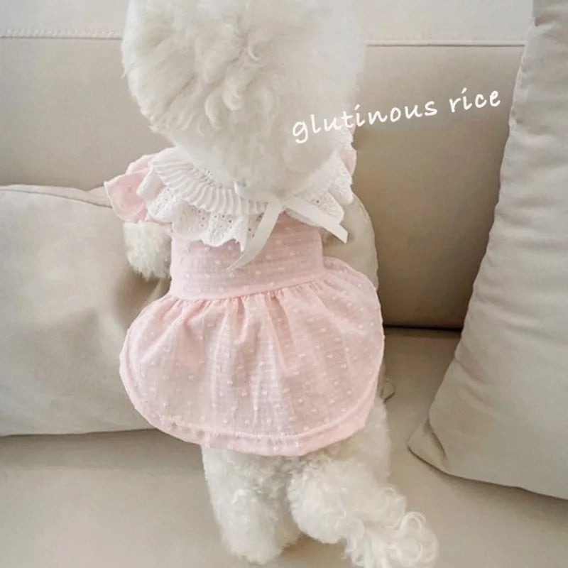 Pet Spring/Summer Dress Cat Clothes Retro Collar Shirt Small Dog Teddy Top Puppy Clothes Dog Dresses for Small Dogs