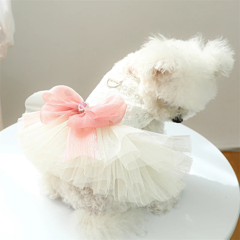 Wedding Dresses for Pets Chihuahua Designer Lace Veil Female Cat Clothes Bow Tie Tutu Skirt Rose Floral Yorkshire Puppy Clothing