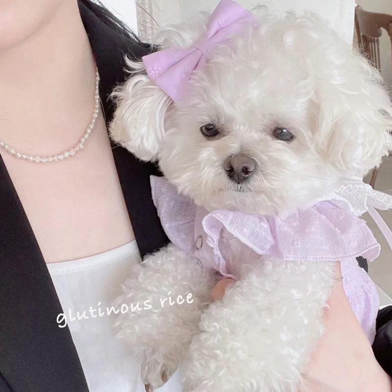 Pet Spring/Summer Dress Cat Clothes Retro Collar Shirt Small Dog Teddy Top Puppy Clothes Dog Dresses for Small Dogs