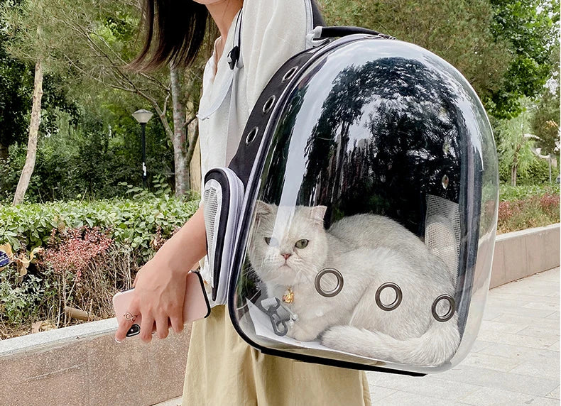 Pet Cat Carrying Bag Portable Pet Dog Carrier Bag Transparent Cat Carrying Bags Transport Carrier Space Capsule Bag Pets