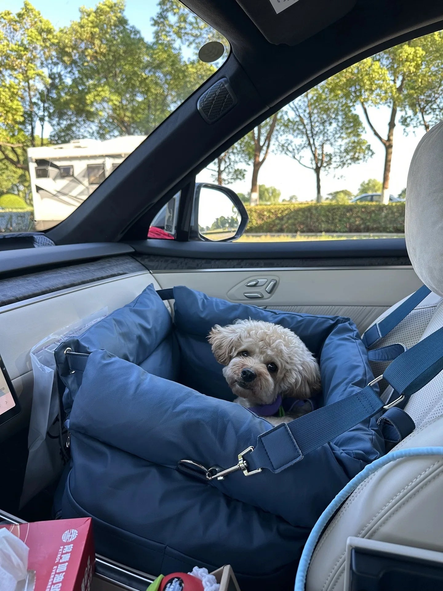 Portable Car Pet Bed - Practical and Convenient Washable Pet Travel Bed for Dogs and Cats - Easy To Clean Removable Jacket